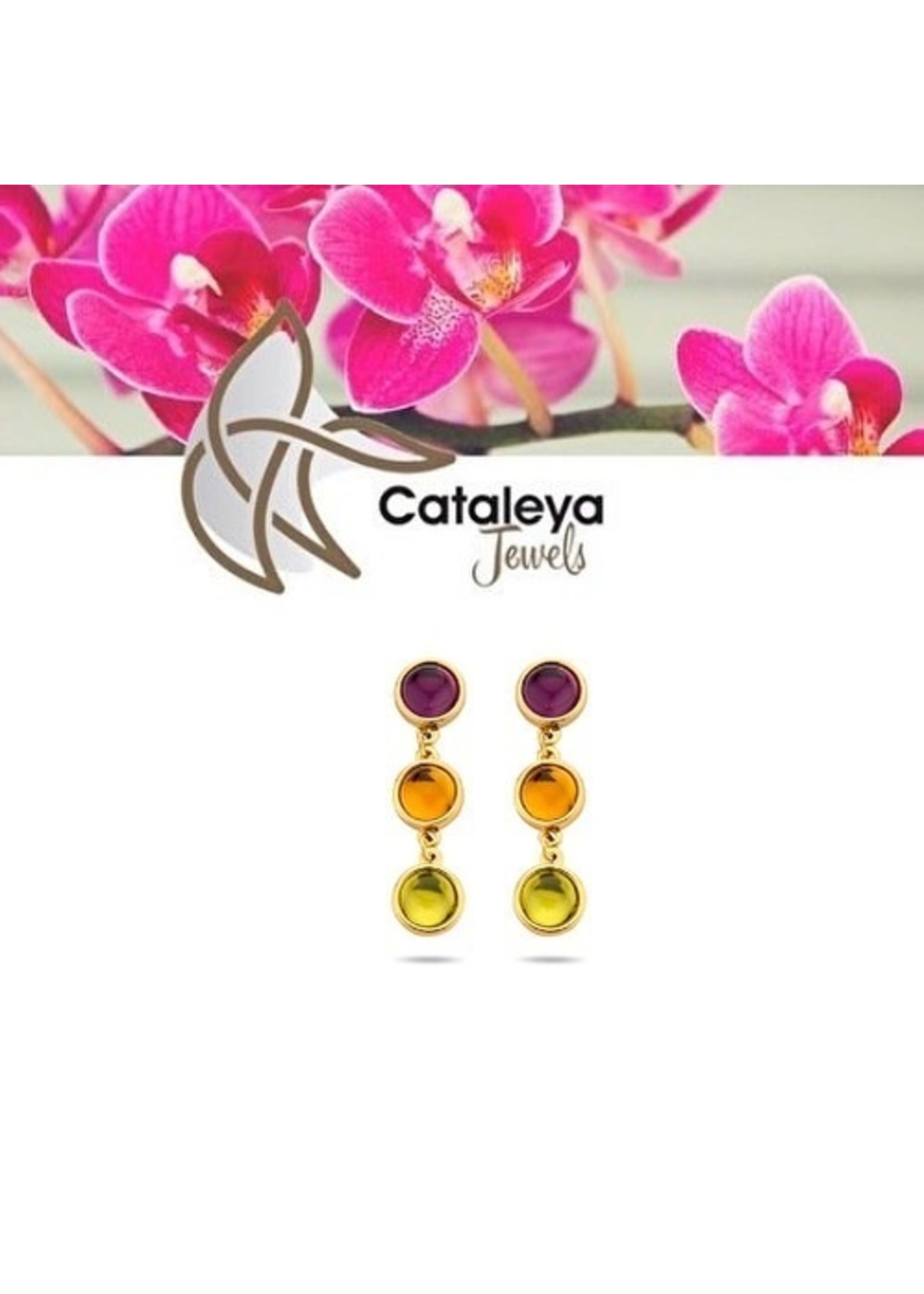 Cataleya jewels Gouden oorhangers met amethist, citrien en peridoot