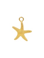 Ixxxi iXXXi Charm Sea Star Gold Color - C43013-01