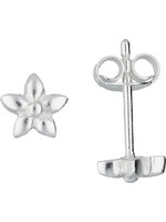 Cataleya jewels Lilly 106.0016.00 Oorknoppen Zilver 6mm