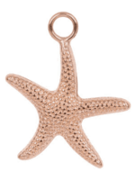 Ixxxi iXXXi Charm Sea Star - C43013-02