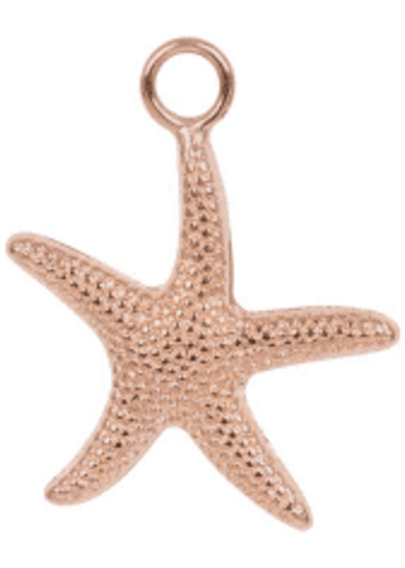 Ixxxi iXXXi Charm Sea Star - C43013-02