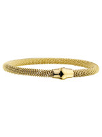 Cataleya jewels Stalen goldplated armband magneet