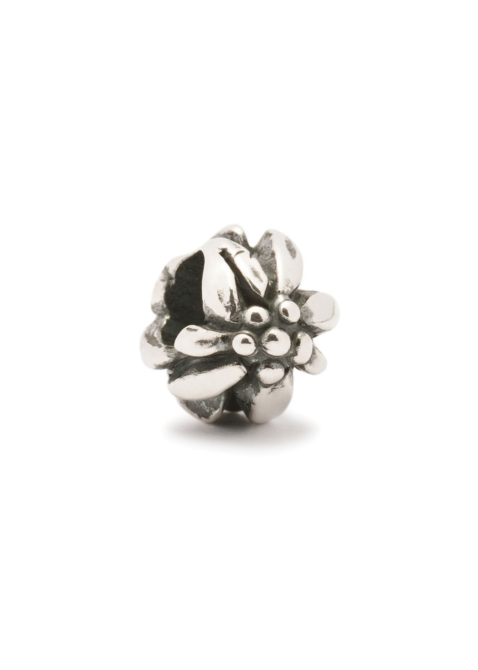 Trollbeads Trollbeads TAGBE-10012 Bergbloem