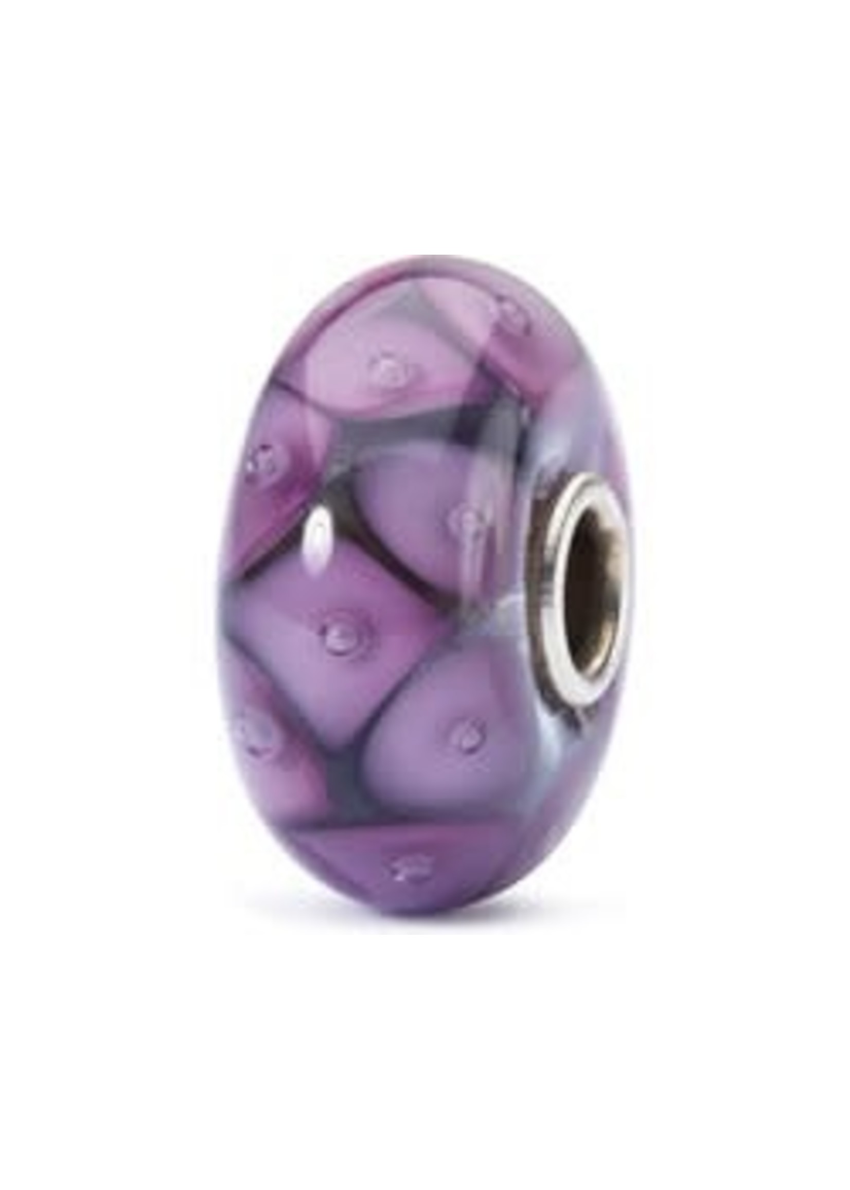 Trollbeads Trollbeads TGLBE-10400 Natuurlijke Vriendschap