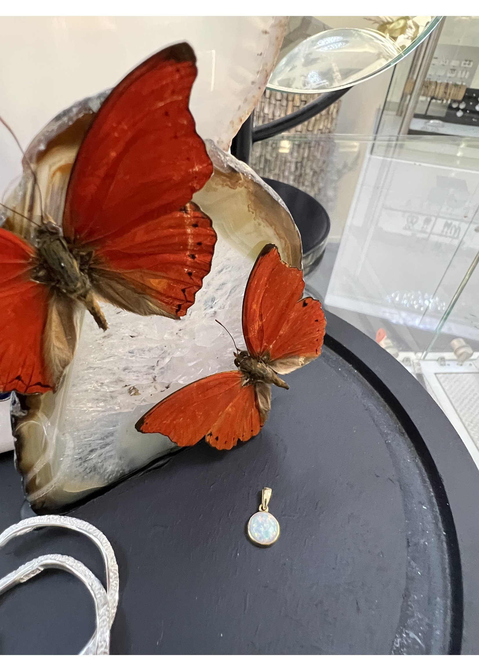 Cataleya jewels Gouden hanger wit opaliet