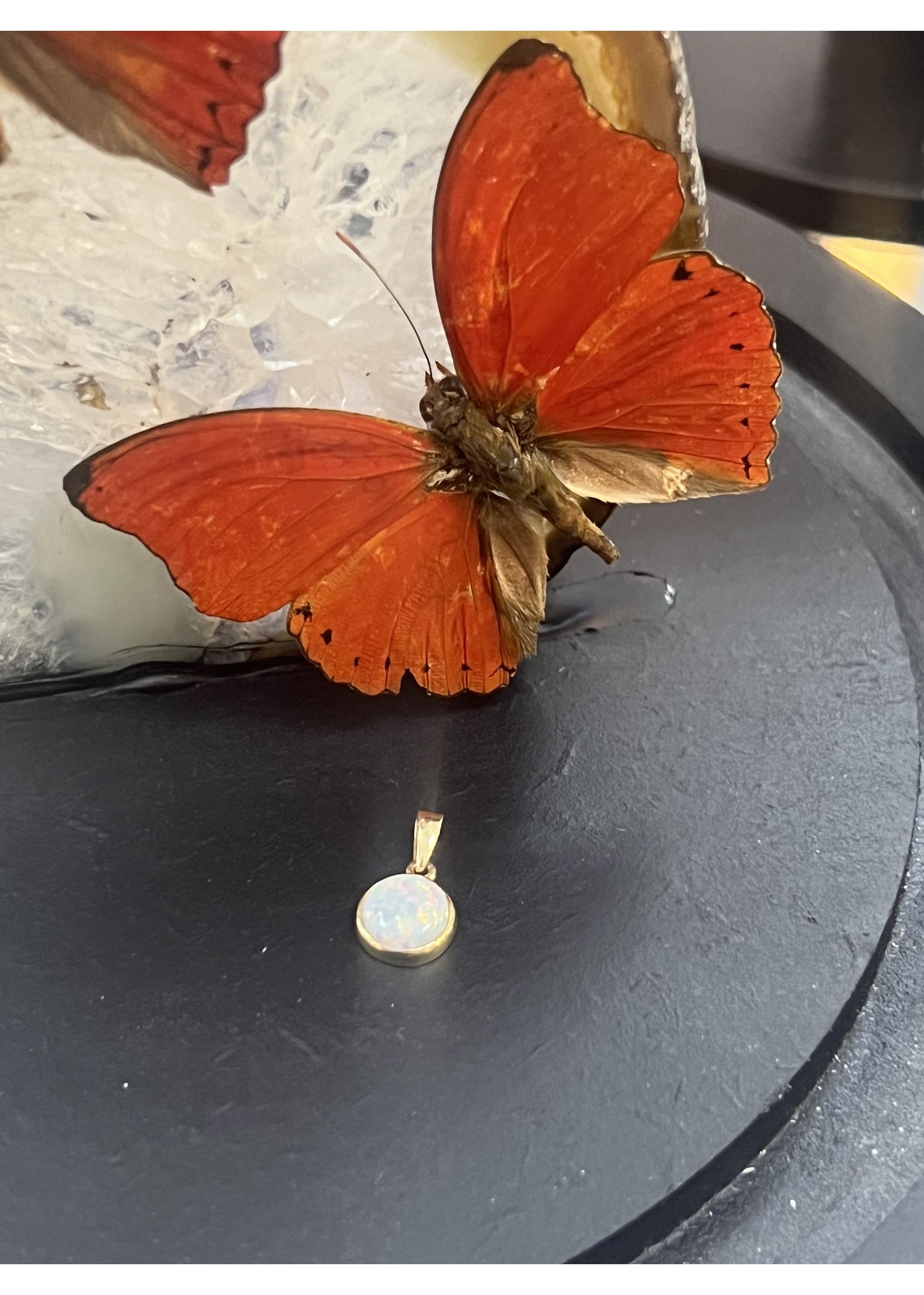 Cataleya jewels Gouden hanger wit opaliet