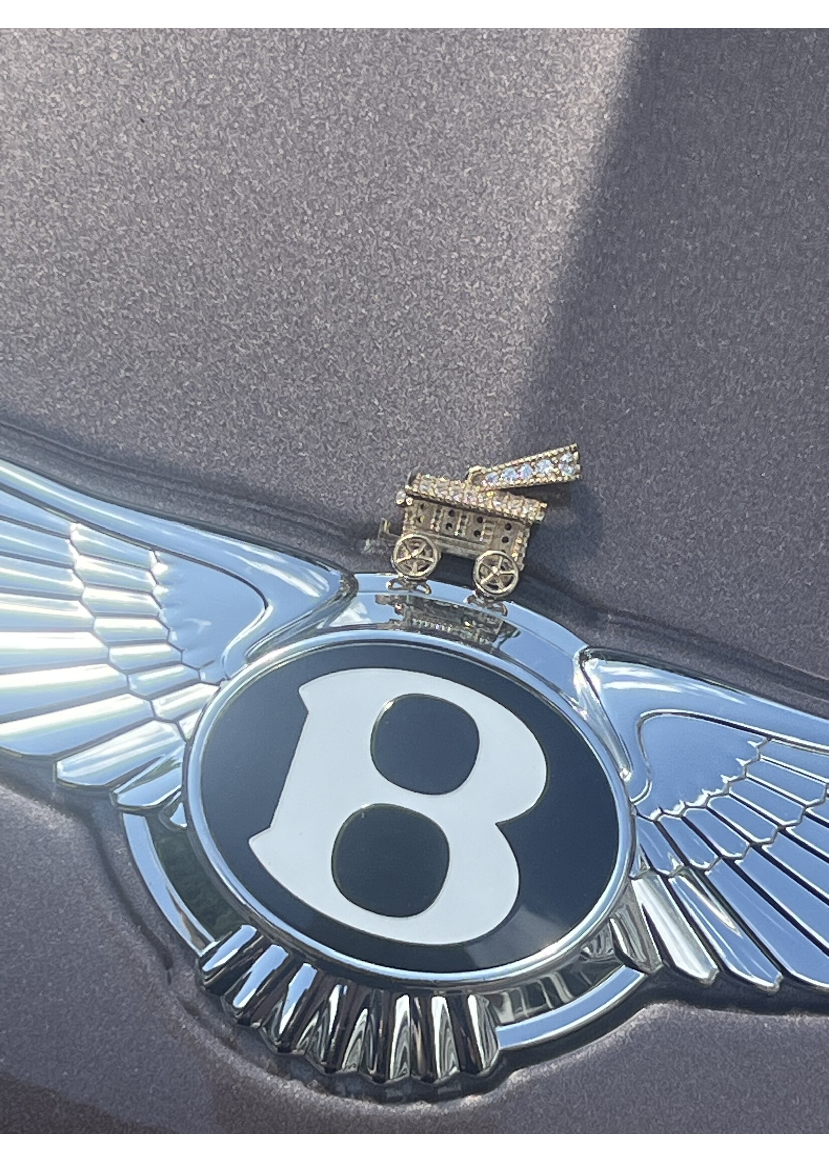 Cataleya jewels Geelgouden woonwagen hanger big met witte zirkonia's 14k - size l