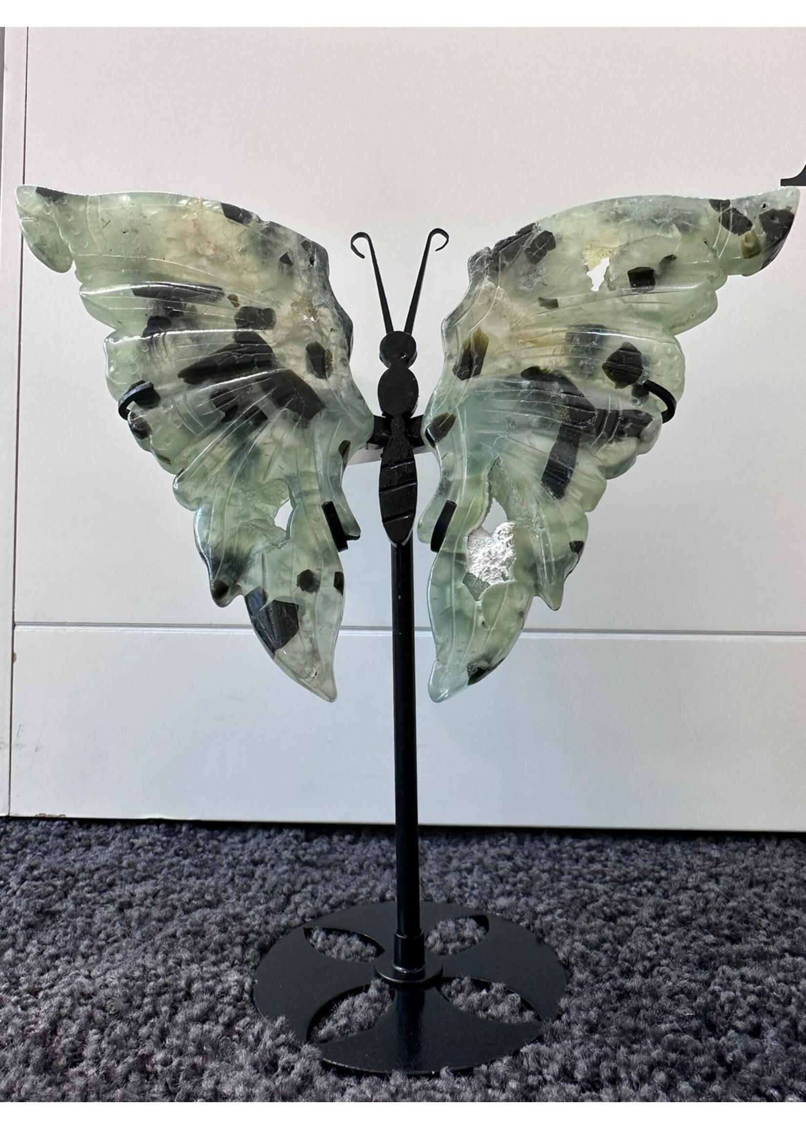 Cataleya jewels vlinder groen op stand agaat