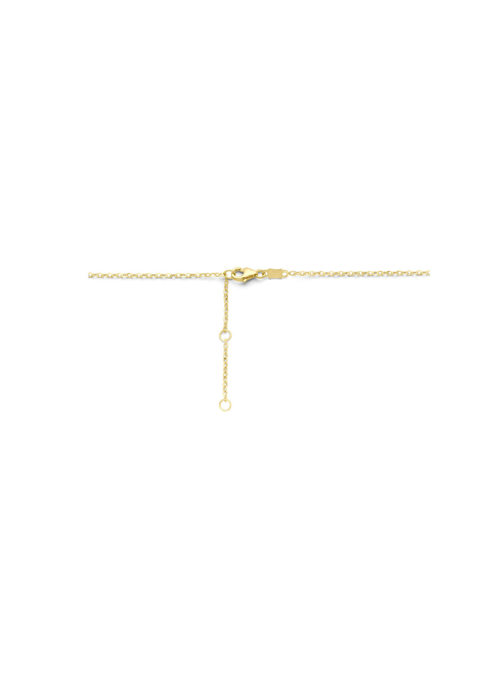 Cataleya jewels Gouden collier klavertje 4 parelmoer 41 - 43 - 45 cm