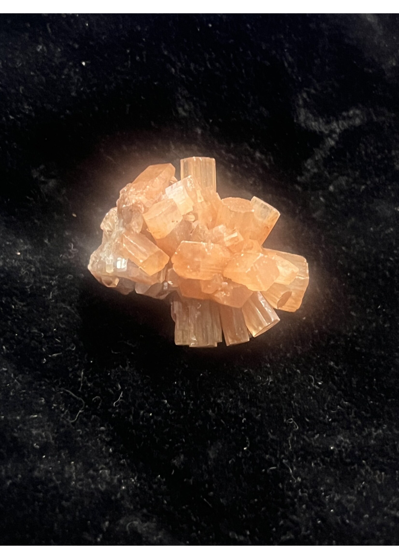 Cataleya jewels Argoniet Roosje pst
