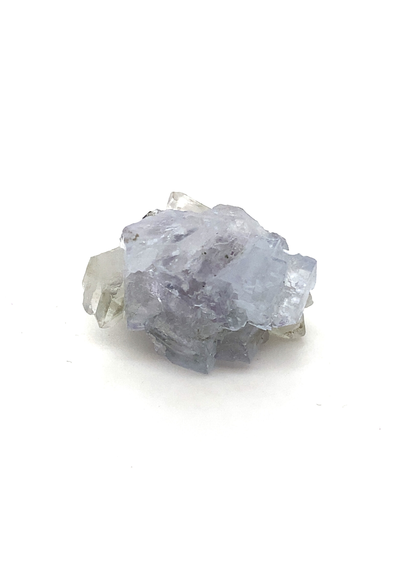 Cataleya jewels Fluoriet ruw lichtblauw wit