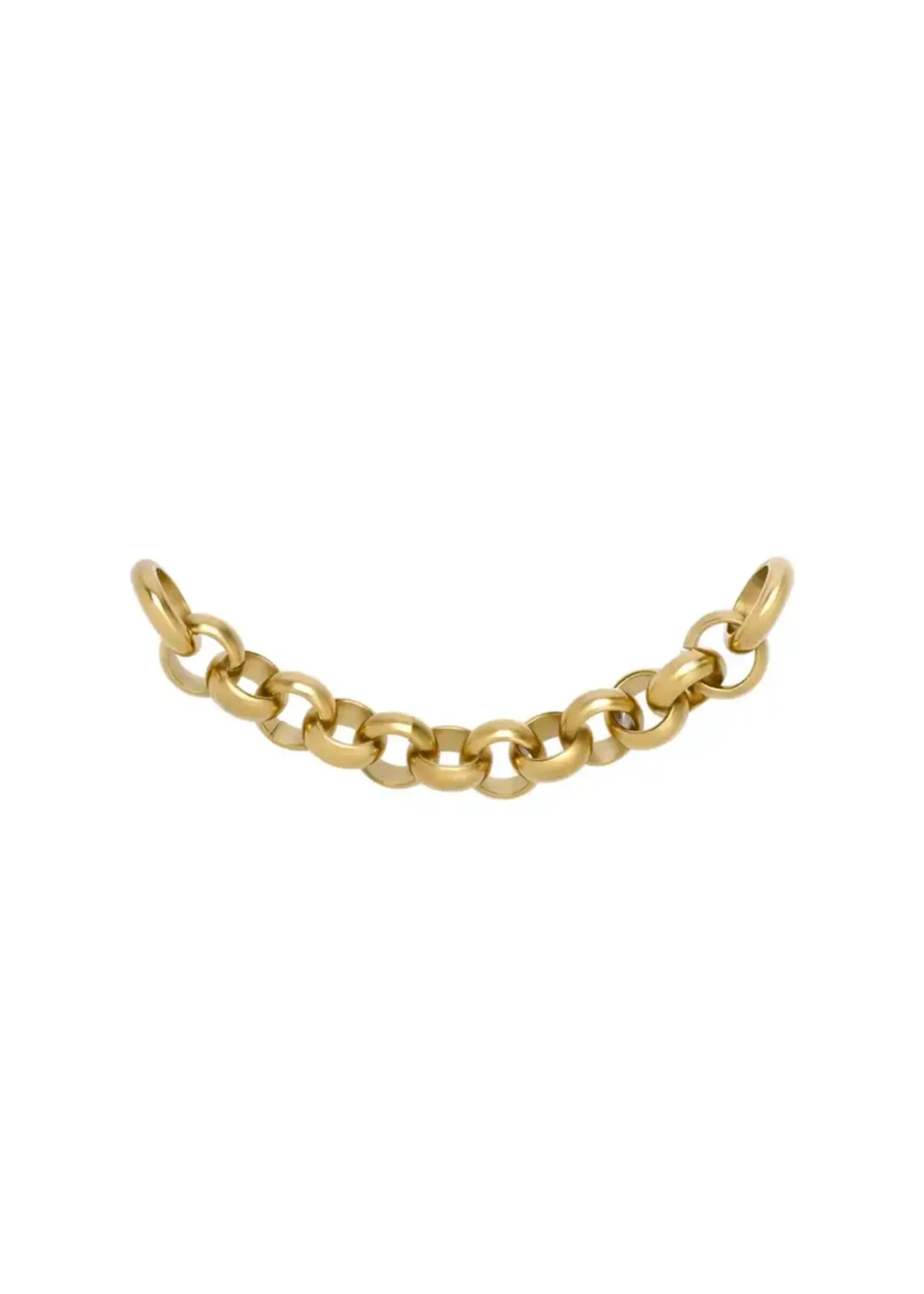 Ixxxi Ixxxi Ketting Amy Goud 7.3cm
