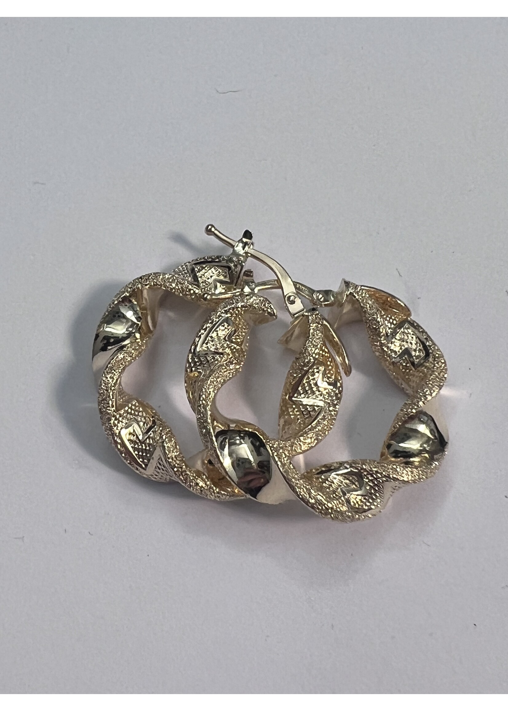 Cataleya jewels Wokkel oorbellen 14k 4.2 gram