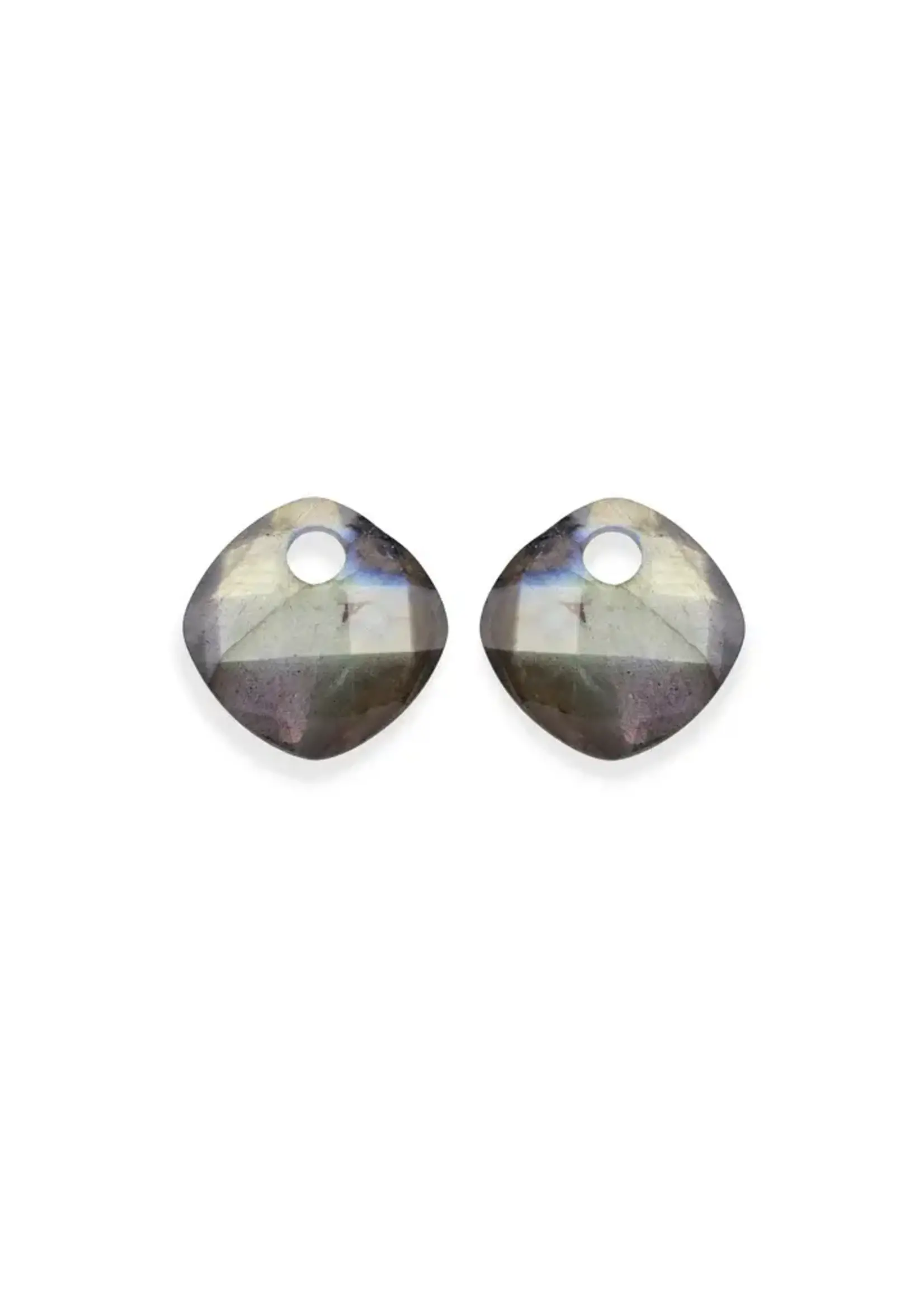 Sparkling Jewels Sparkling Labradorite Cushion Cut oorbel edelstenen EAGEM18-CC