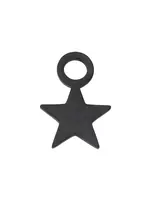 Ixxxi Ixxxi ster bedel staal black