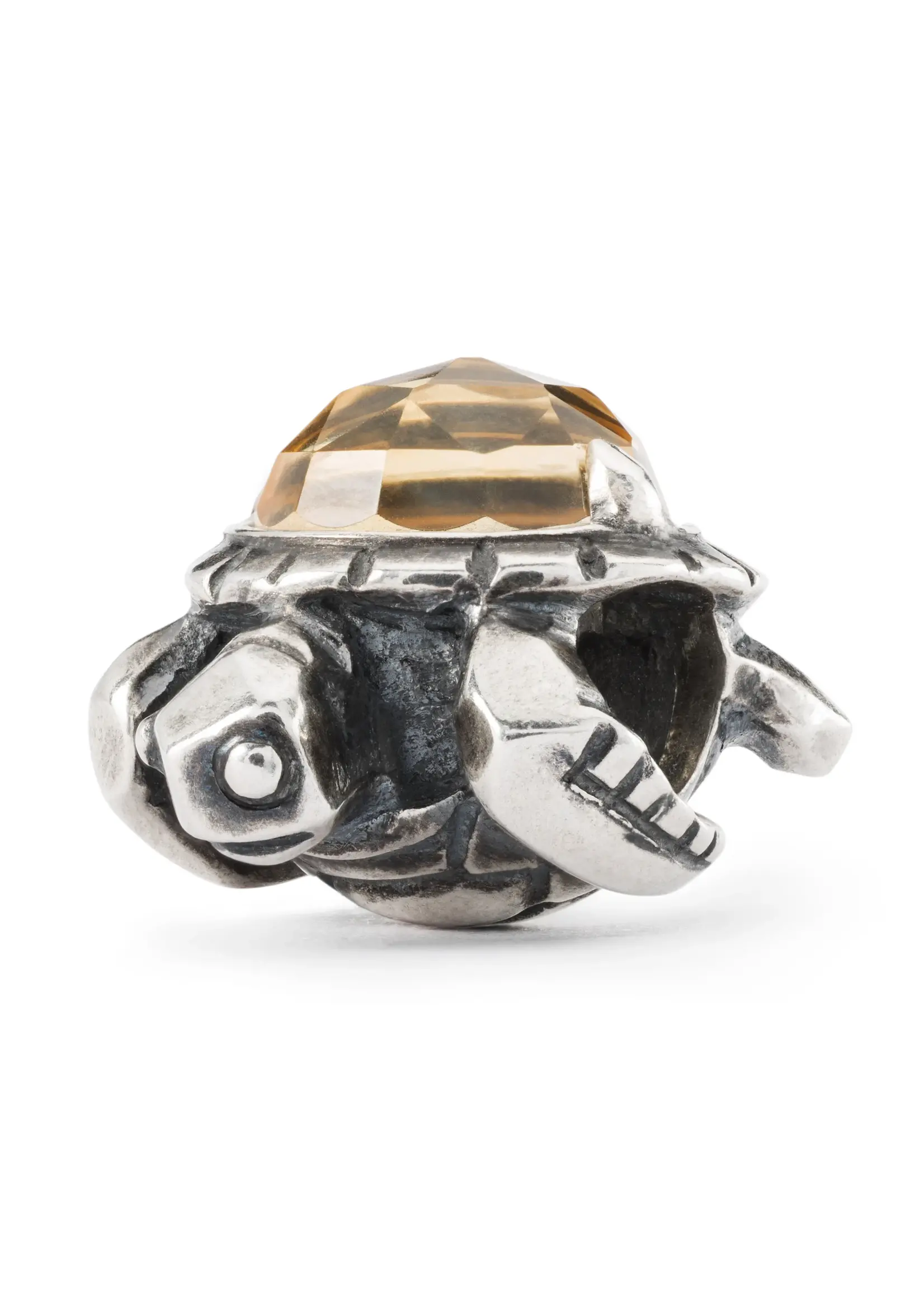 Trollbeads Trollbeads TAGBE-00299 Lang Leven