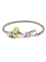Trollbeads armband ‘Eeuwige Vitaliteit