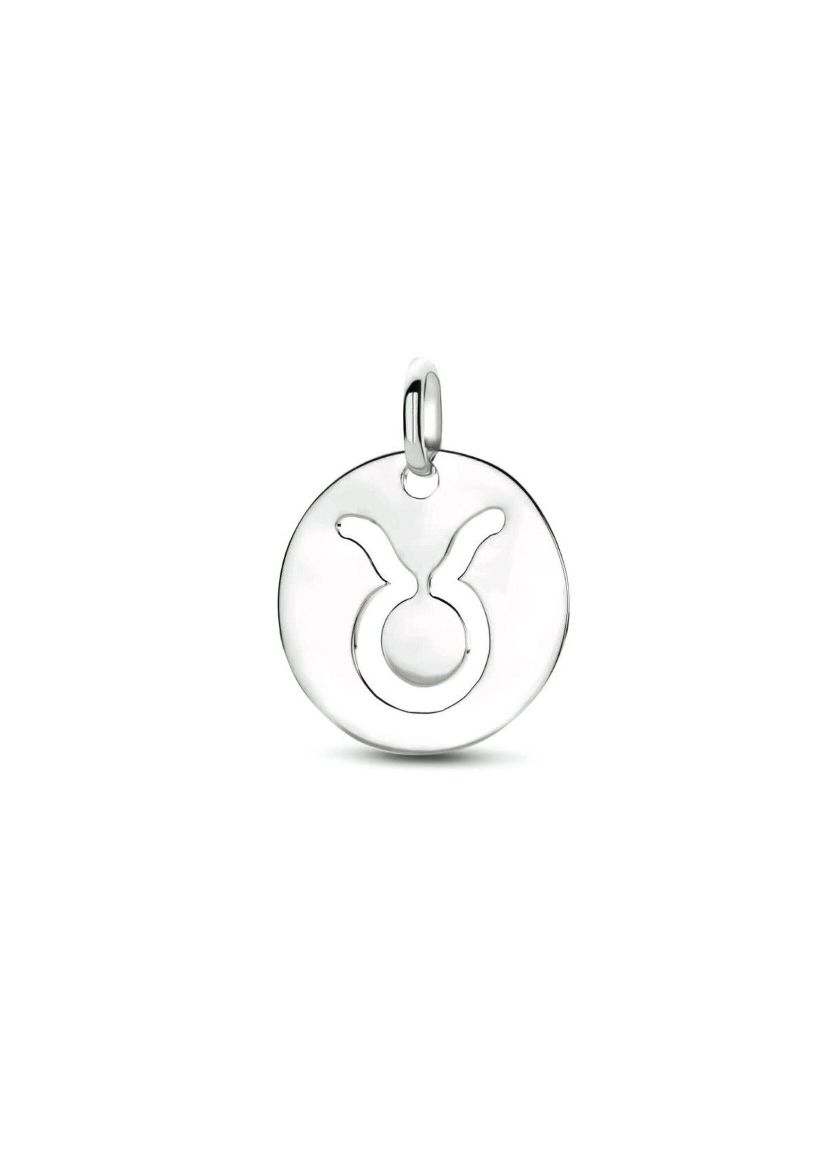 Cataleya jewels Zilveren hanger sterrenbeeld rond