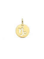 Cataleya jewels Zilveren goldplated sterrenbeeld hanger