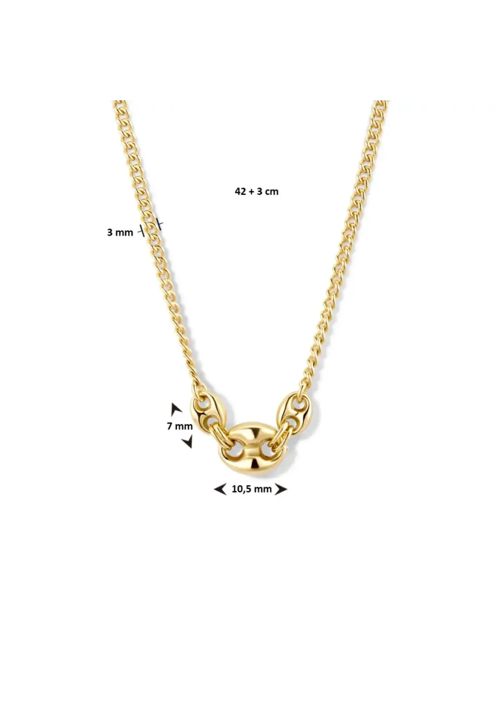 Cataleya jewels Zilveren Vergulde Collier met Gourmetschakels