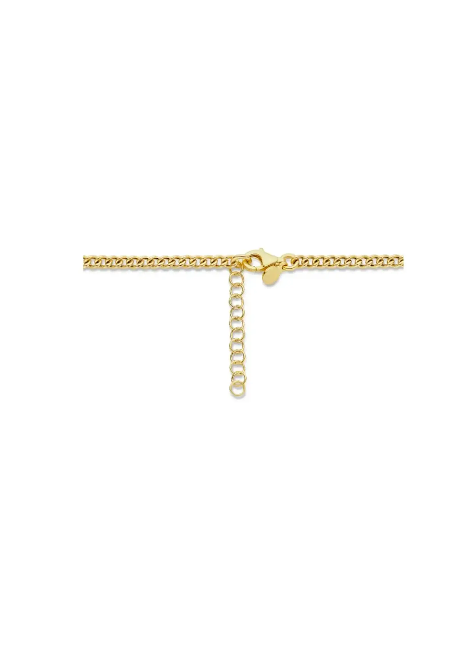 Cataleya jewels Zilveren Vergulde Collier met Gourmetschakels
