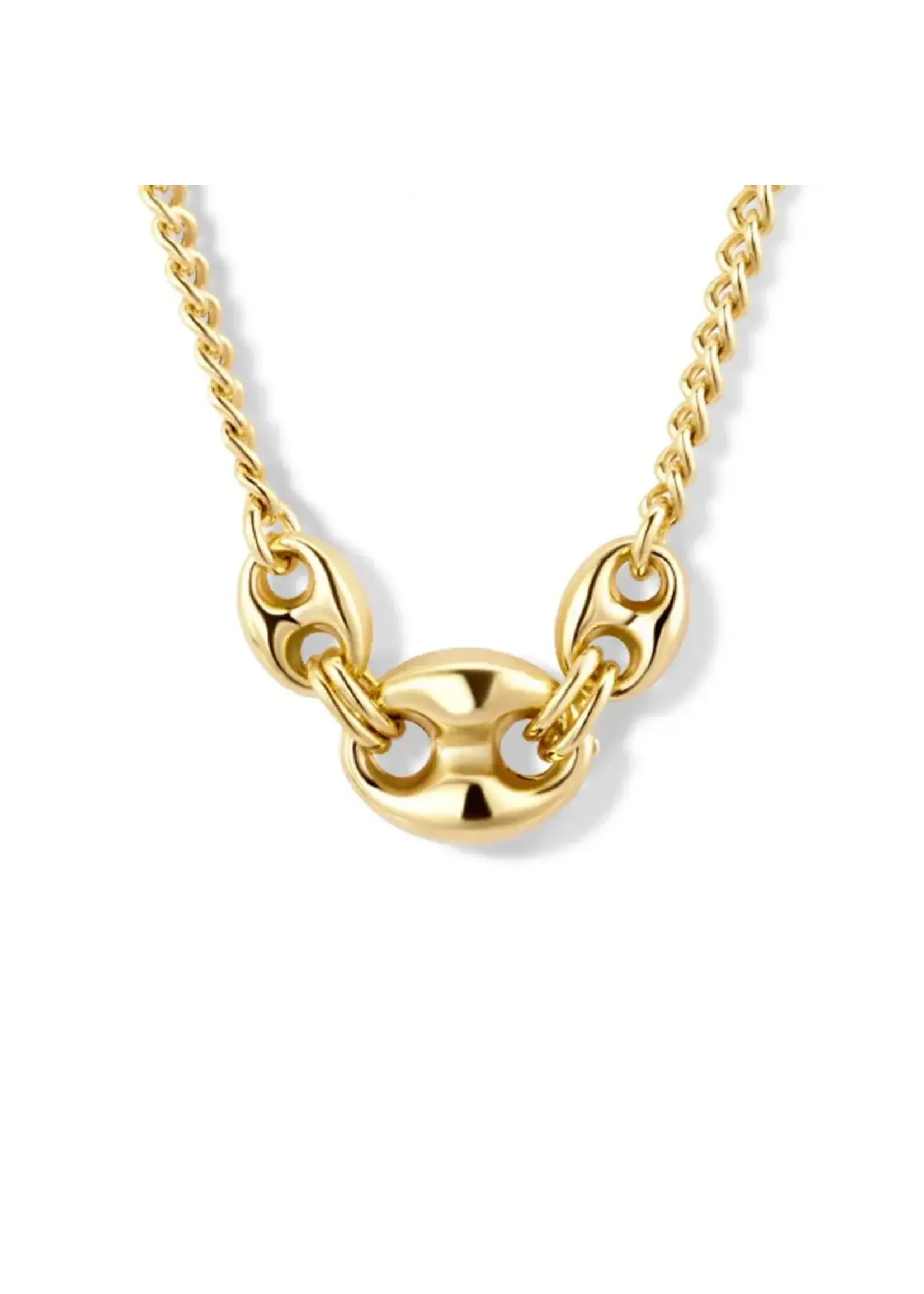 Cataleya jewels Zilveren Vergulde Collier met Gourmetschakels