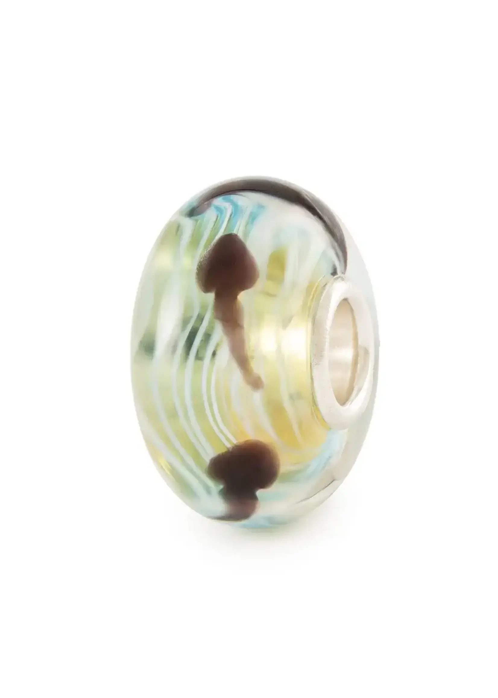 Trollbeads REIS VAN DE KIKKERVIS TGLBE-20447