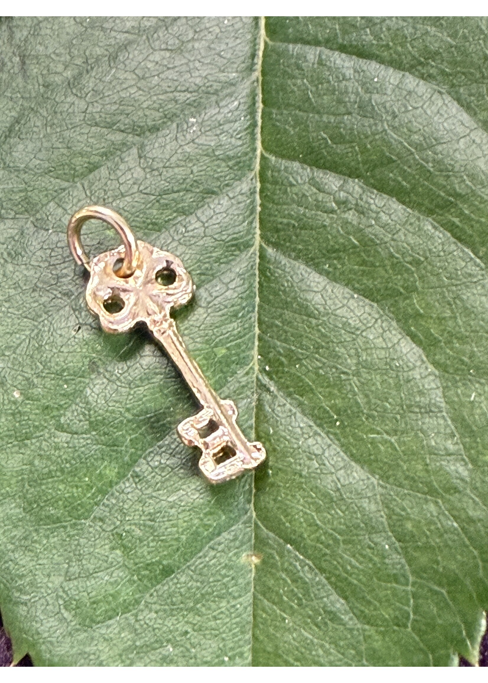 Vintage & Occasion Geelgouden 14k  hanger sleutel