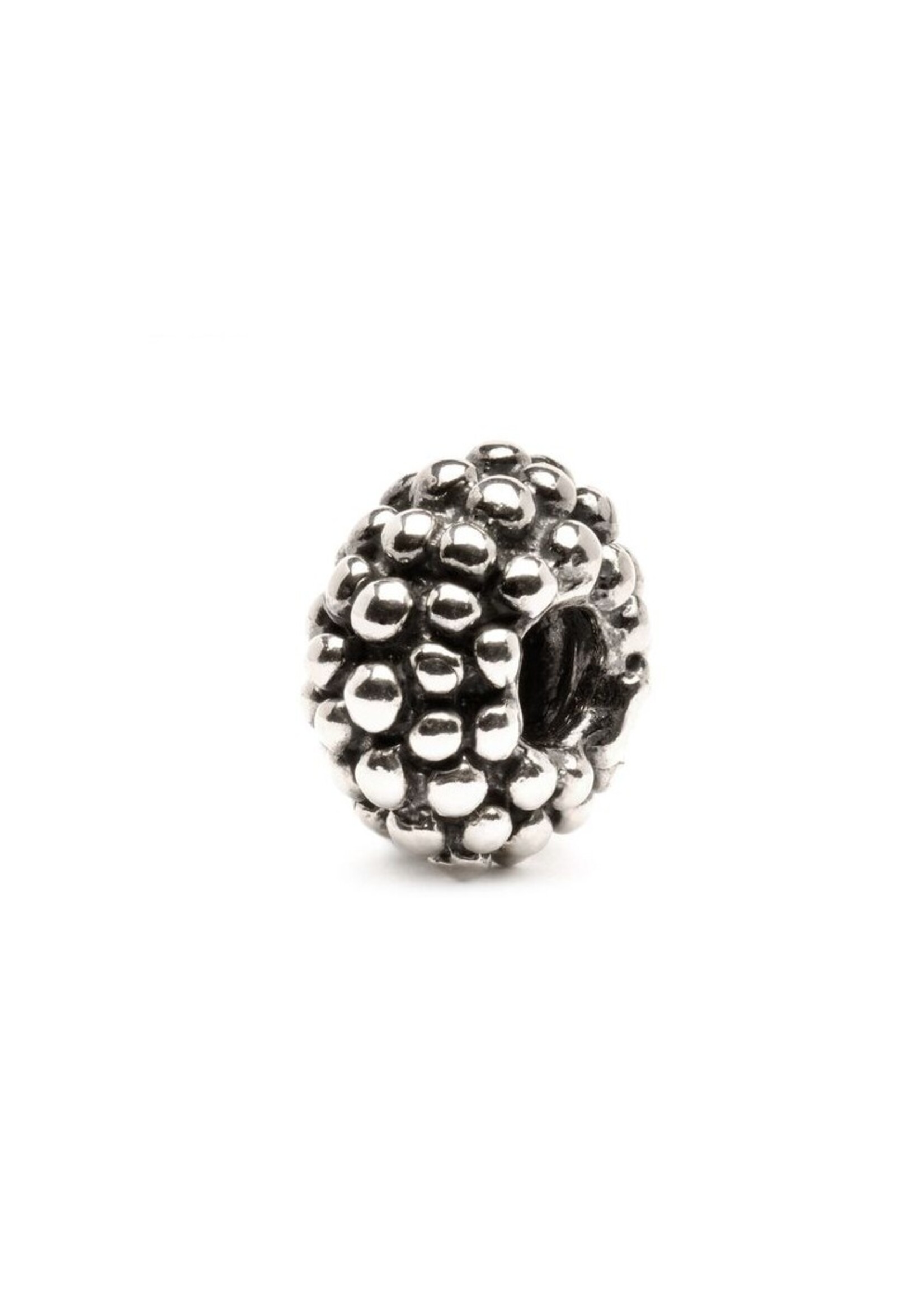 Vintage & Occasion TROLLBEADS TAGBE-50027 KRAAL GROTE BESSEN ZILVER