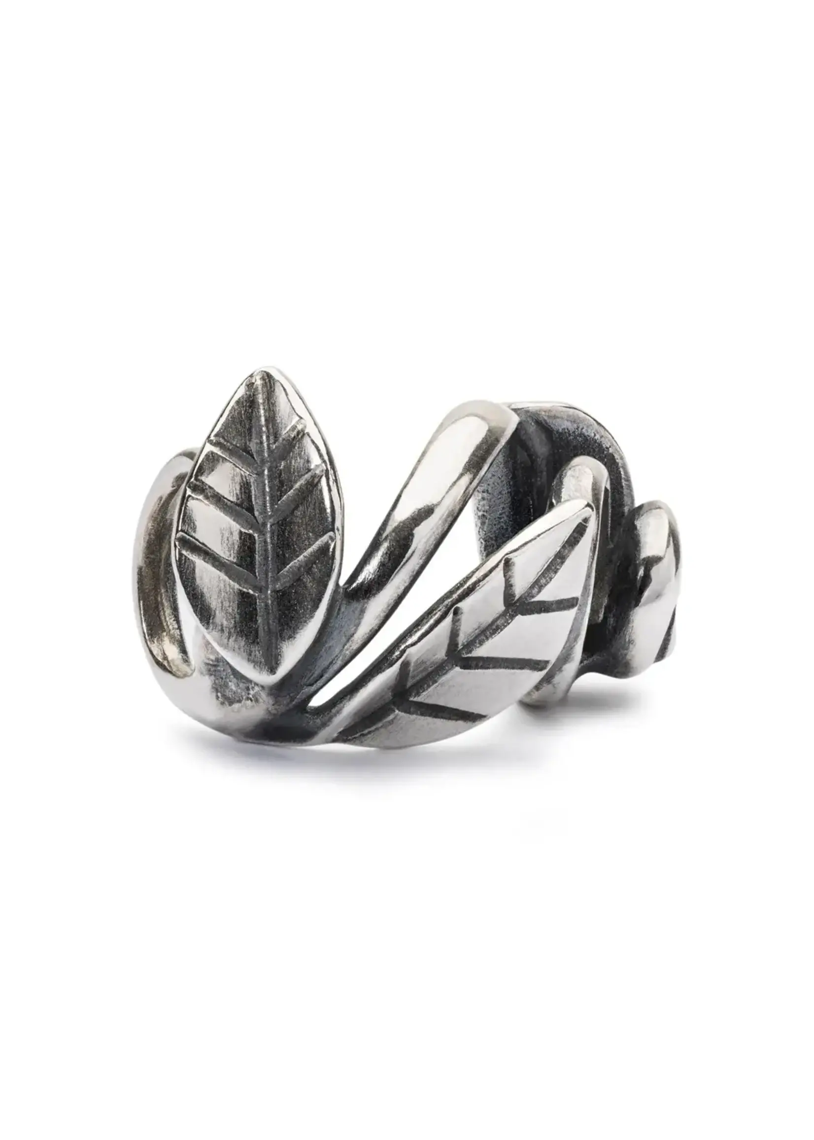 Trollbeads Trollbeads - Door De Natuur Ingelijst - TAGBE-20210