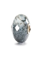 Trollbeads Trollbeads - Dendritisch Agaat - Natuursteen - TSTBE-20014