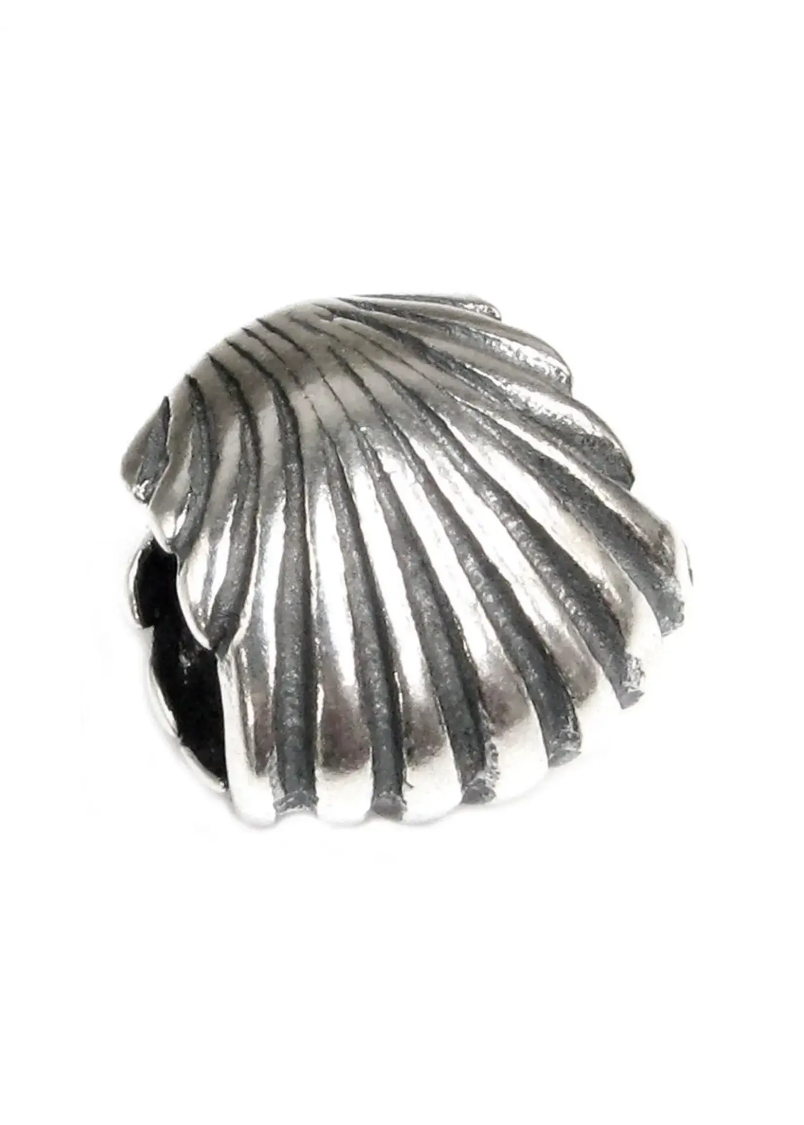 Trollbeads Pandora - Seashell bedel zilver - 791134