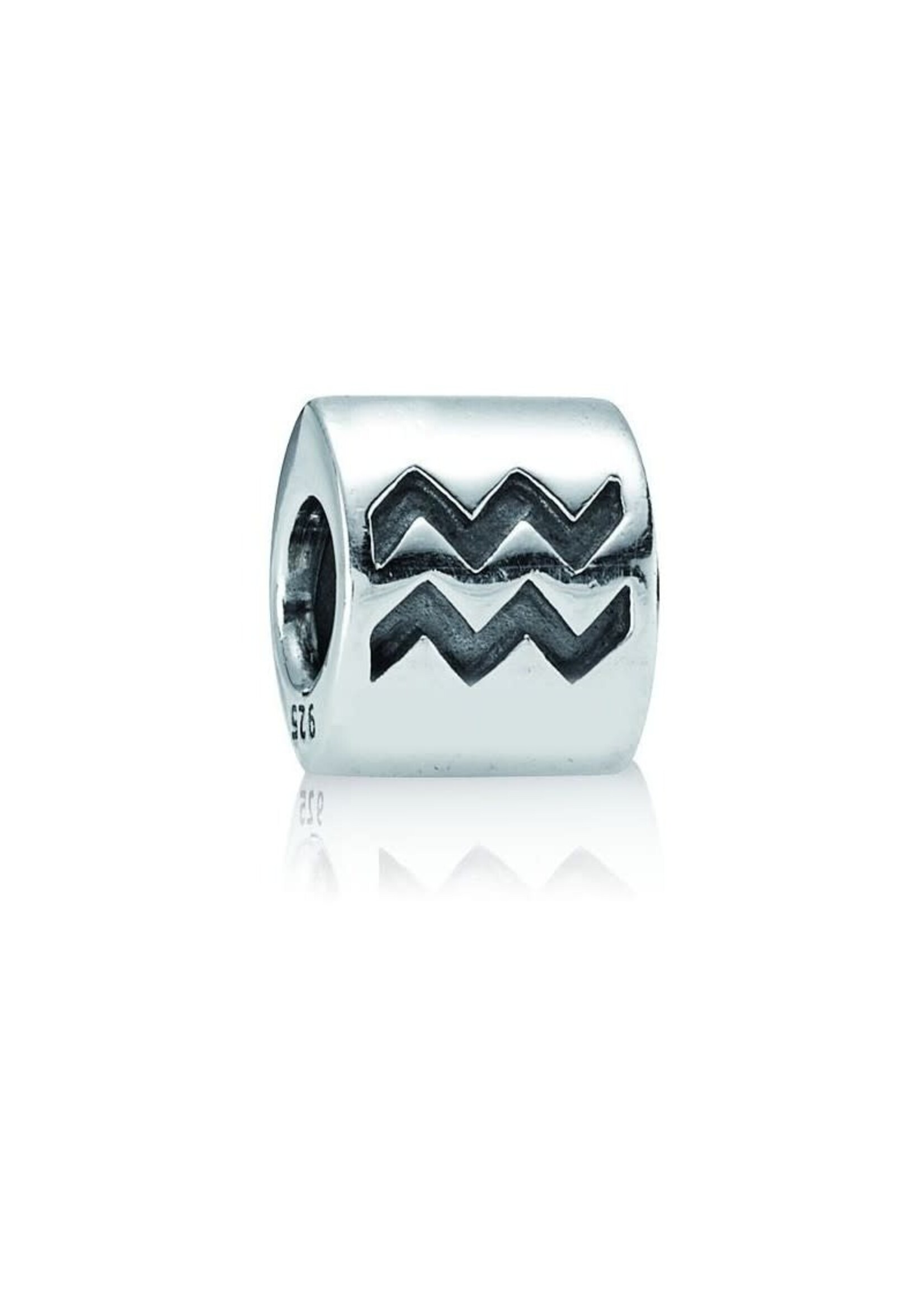 Trollbeads Pandora - Waterman sterrenbeeld - 790142