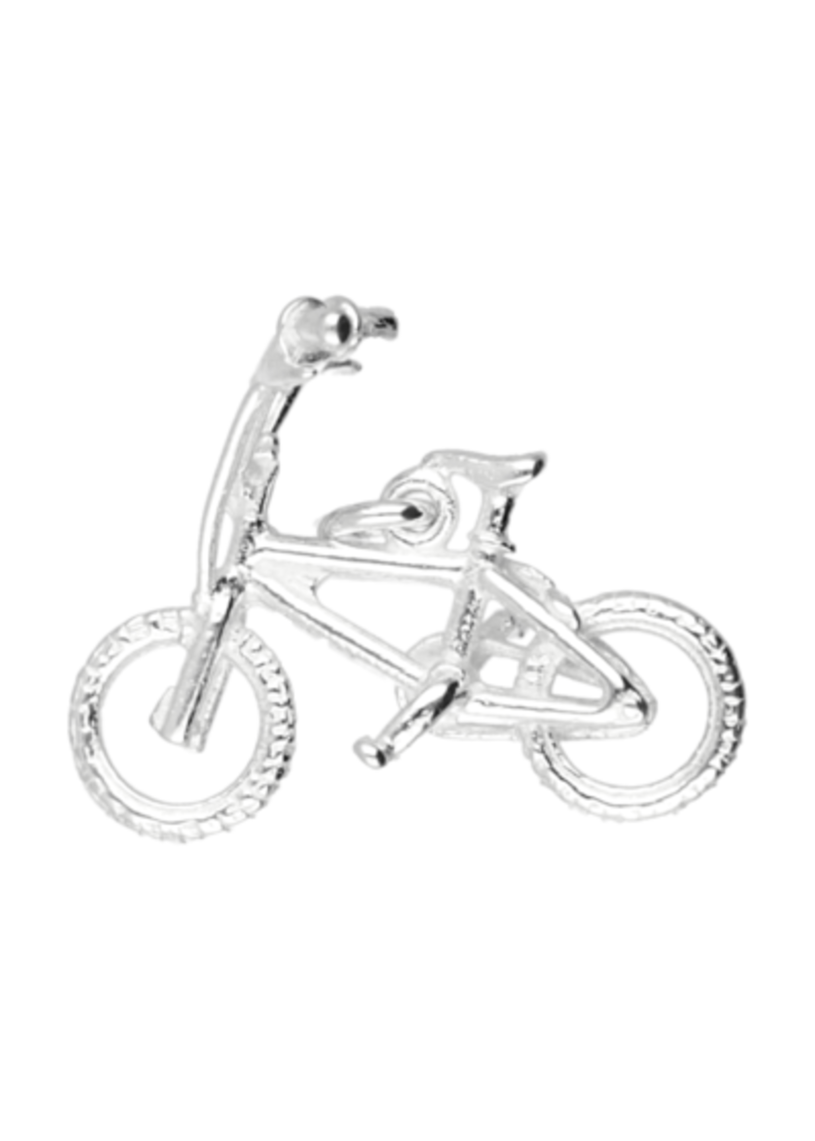 Vintage & Occasion Zilveren Crossfiets ketting hanger box