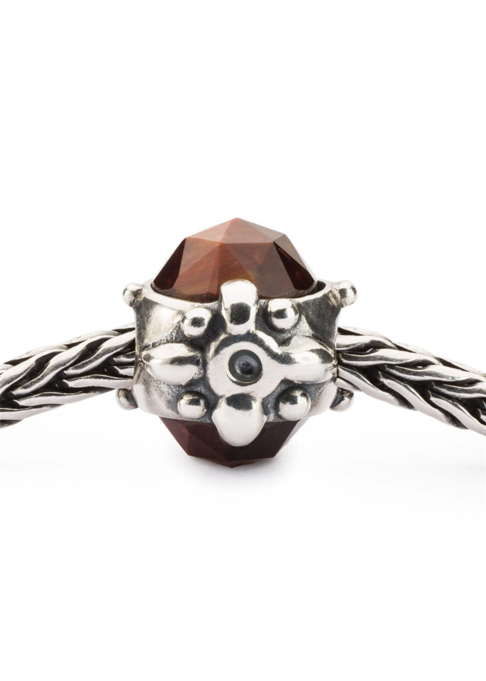 Trollbeads Trollbeads - Wieg van Volharding - TAGBE-00286