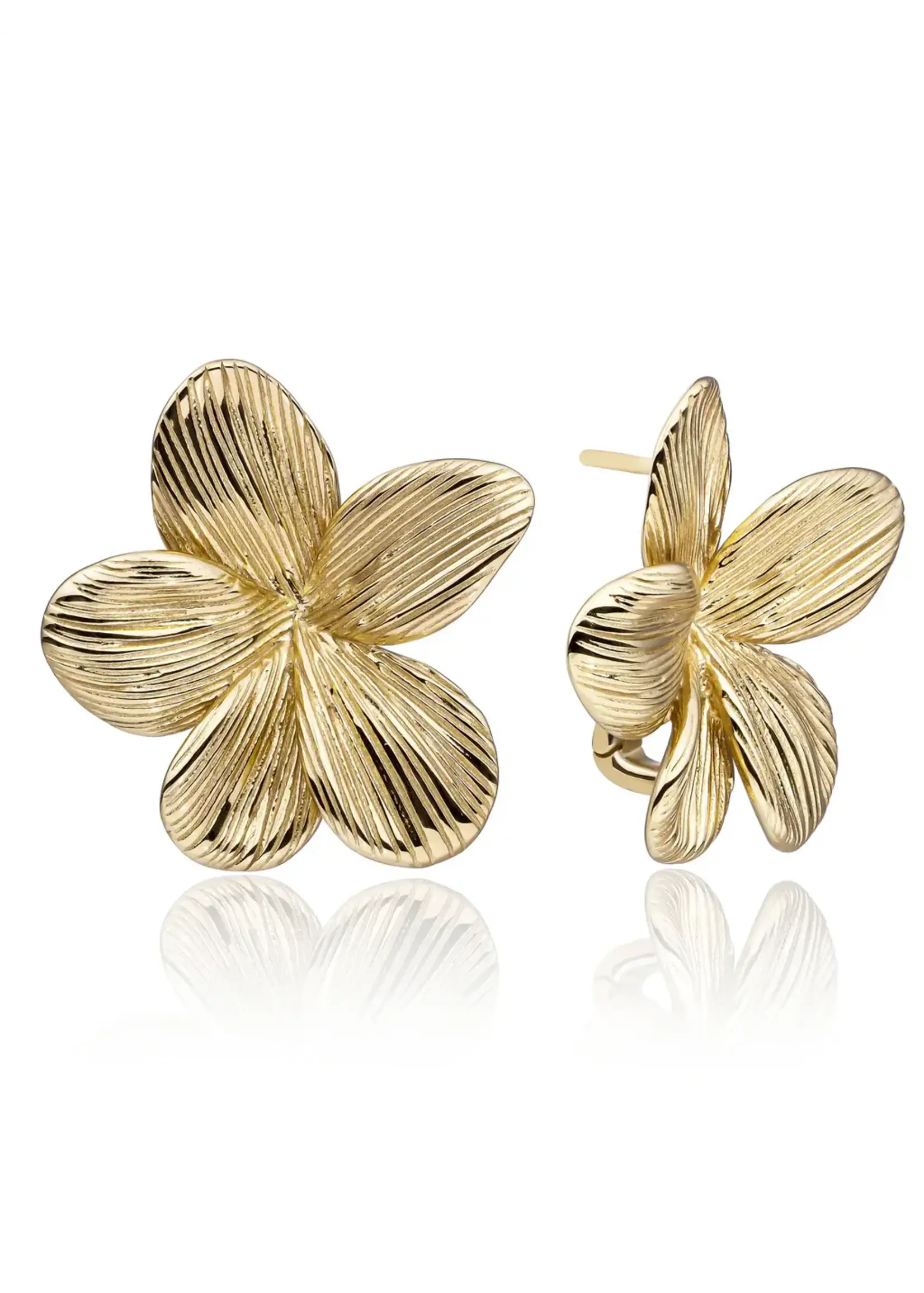 Sparkling Jewels Sparkling Jewels  Flora Push Back Oorbellen Goudkleurig EAG37