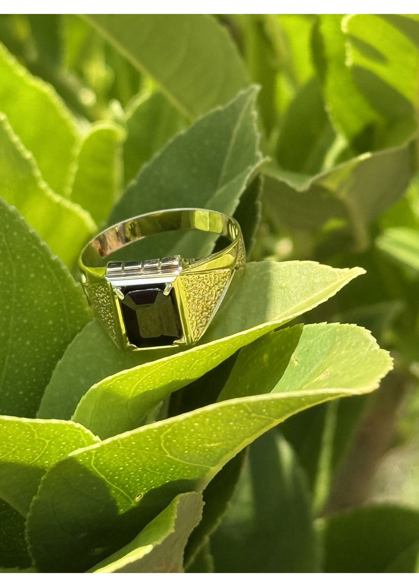 Vintage & Occasion 8k Geelgouden Zegelring BWG met Granaat – Maat 19