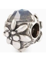 Trollbeads Trollbeads BERG EDELWEISS TAGBE-00315