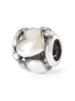 Trollbeads Voor altijd dichtbij