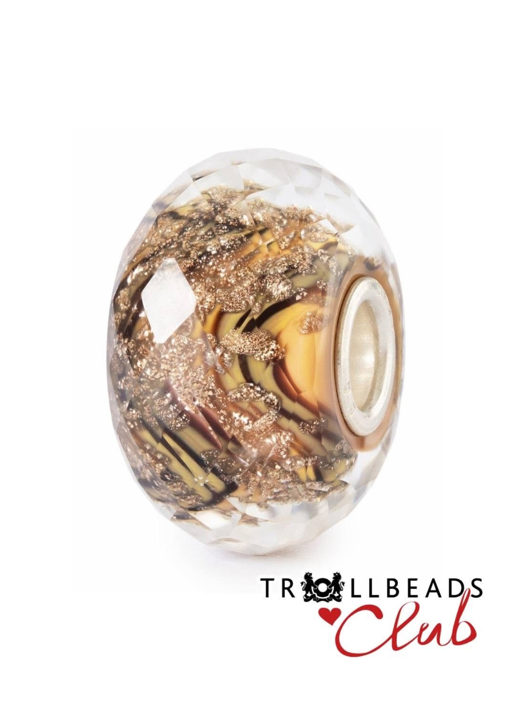 Trollbeads Tglbe-30181 Gouden aarde - Club special