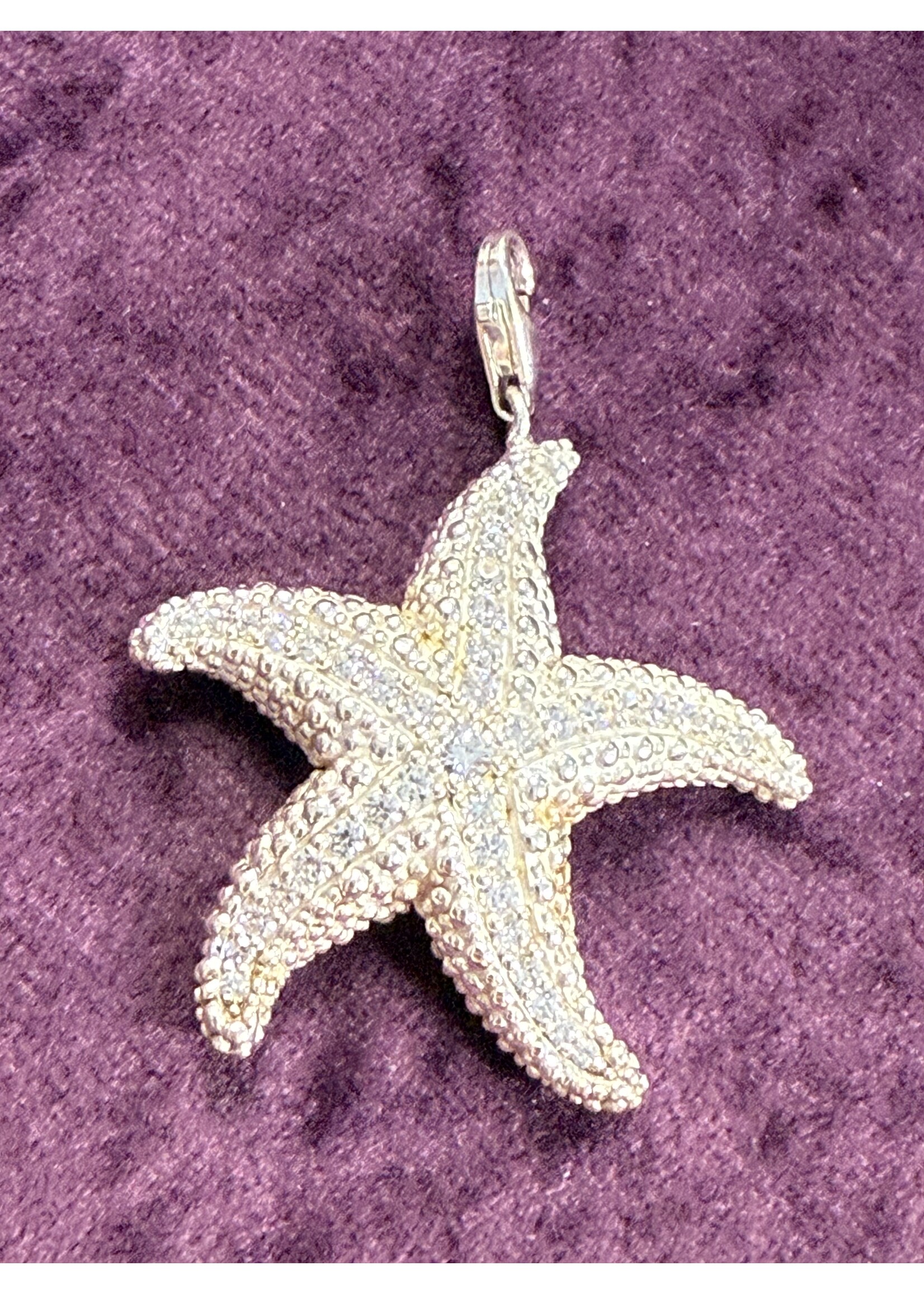 Vintage & Occasion Zilveren charm Thomas Sabo zeester