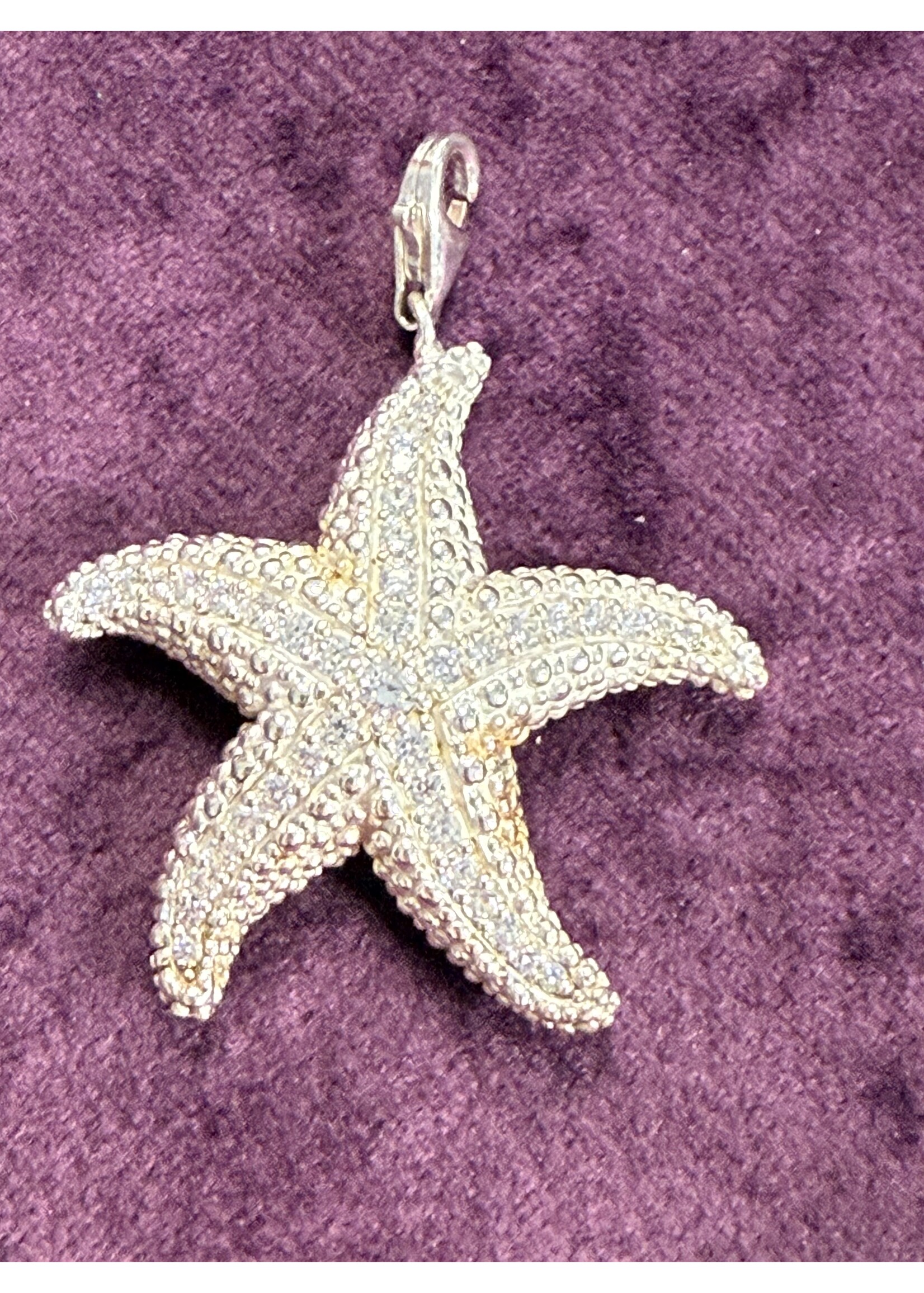 Vintage & Occasion Zilveren charm Thomas Sabo zeester