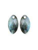 Sparkeling Jewels Sparkling Jewels Eardrops Earring Editions Facet Labradorite Ear Leaf EAGEM18-FCLF-S