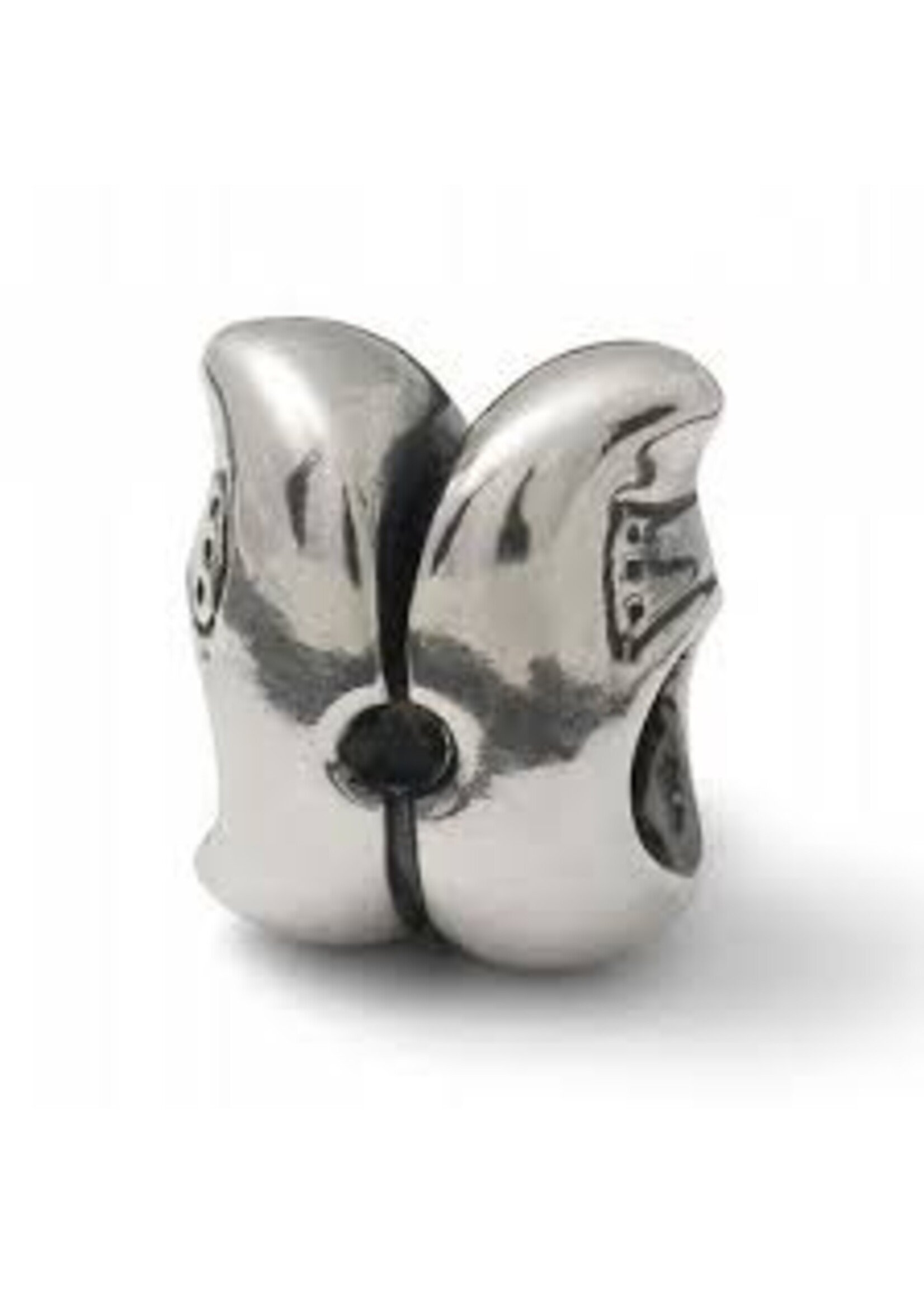 Trollbeads Trollbeads klompen tagbe-20023