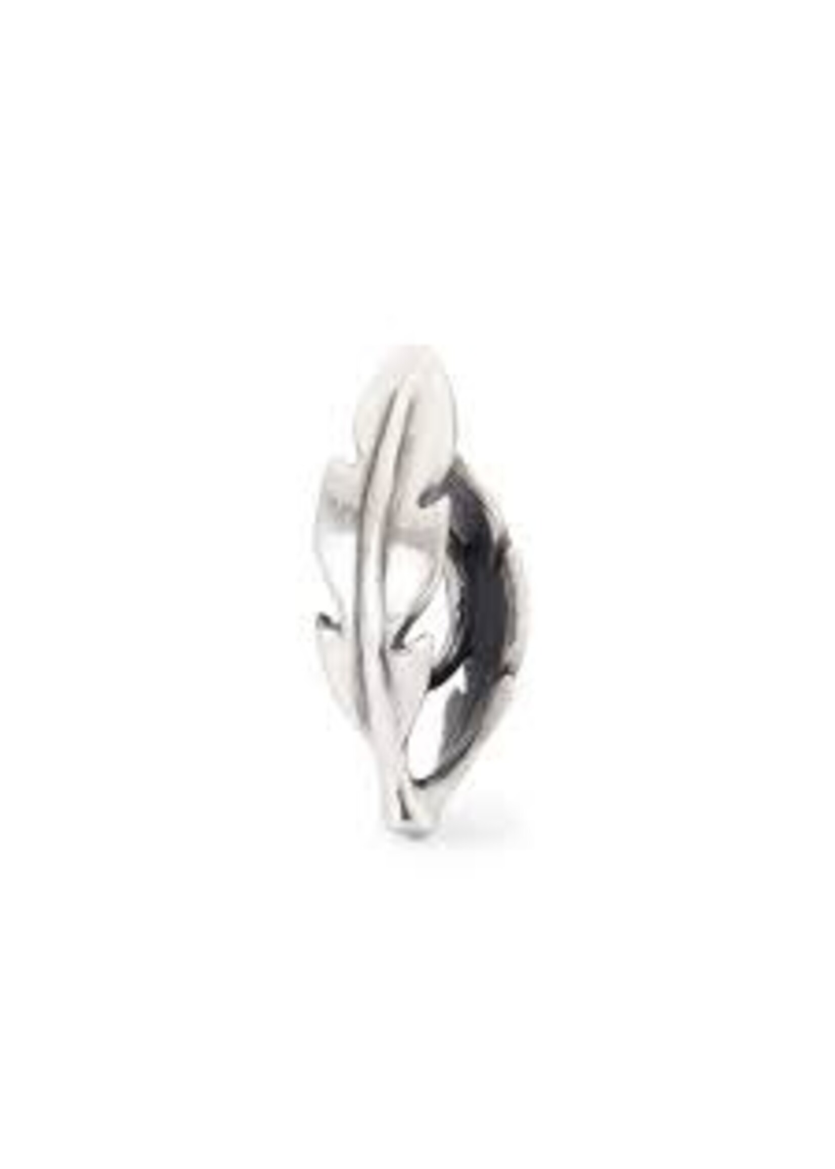 Trollbeads TAGBE-10297	Vleugels van binnen