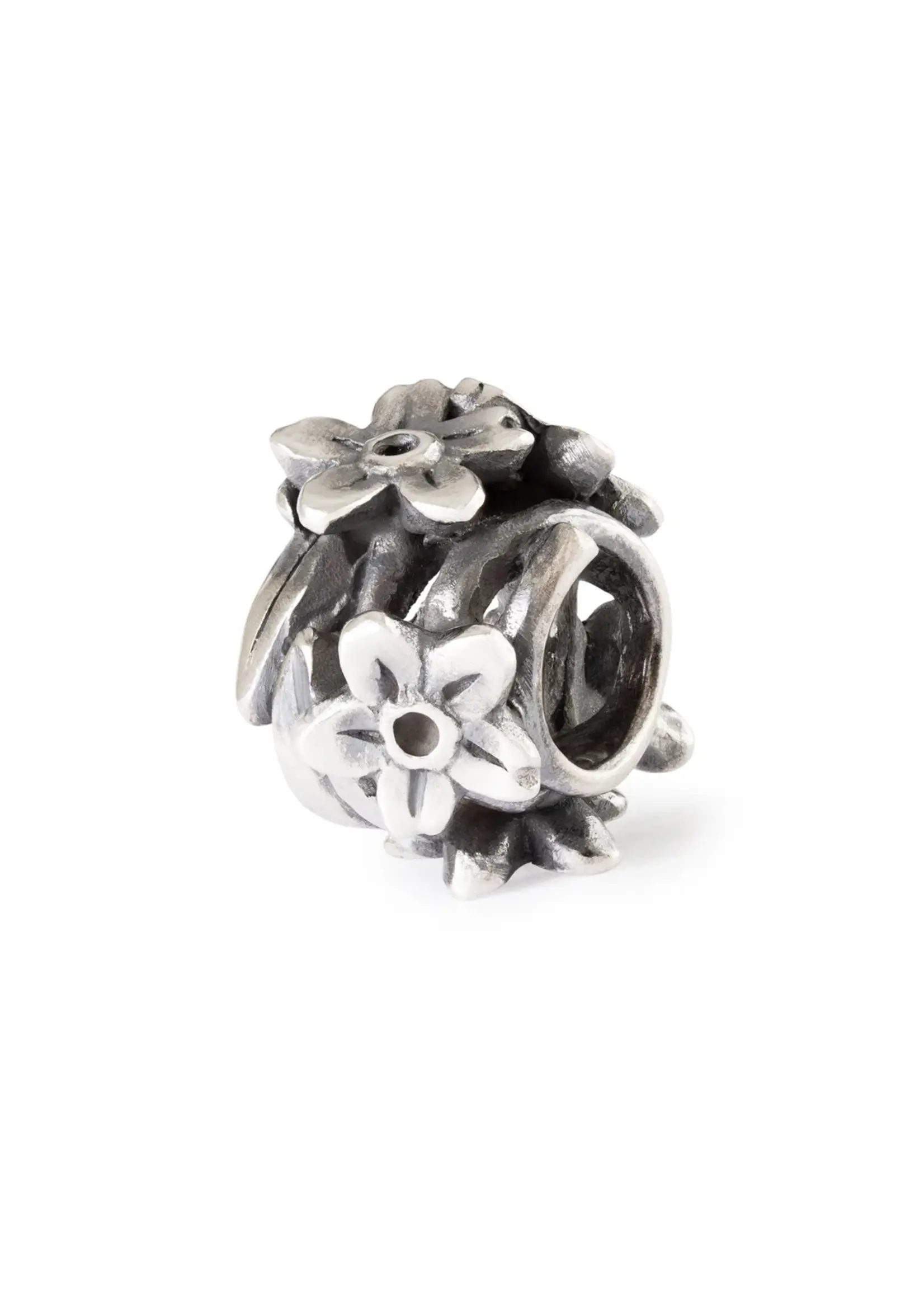 Trollbeads trollbeads tagbe-10294 belofte van vergeet mij nietje