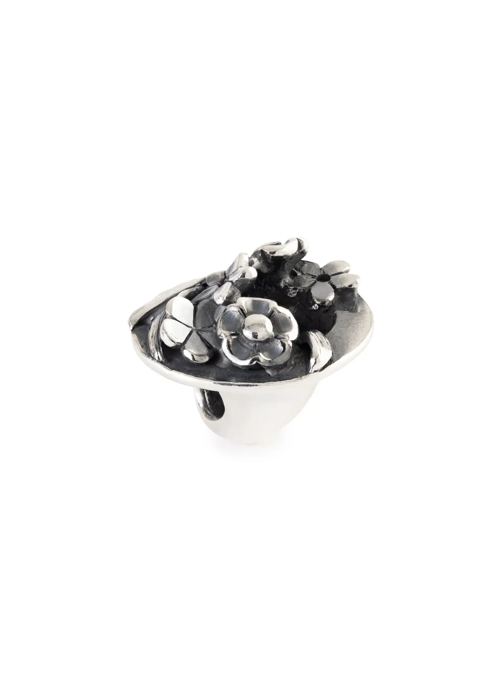 Trollbeads Trollbeads zilveren bedel Verzamelvreugde, TAGBE-20312