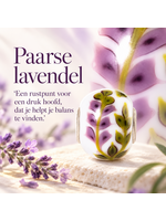 Trollbeads Trollbeads paarse lavendel