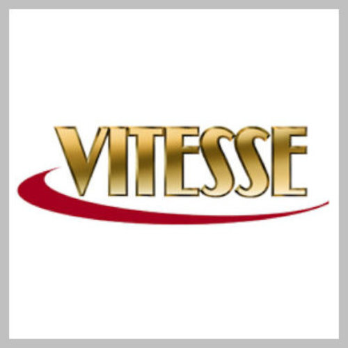 VITESSE MODELAUTO'S