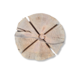 Mullrose Zweedse Fakkel | Oven gedroogd Mullrose Zweedse Fakkel | Oven gedroogd